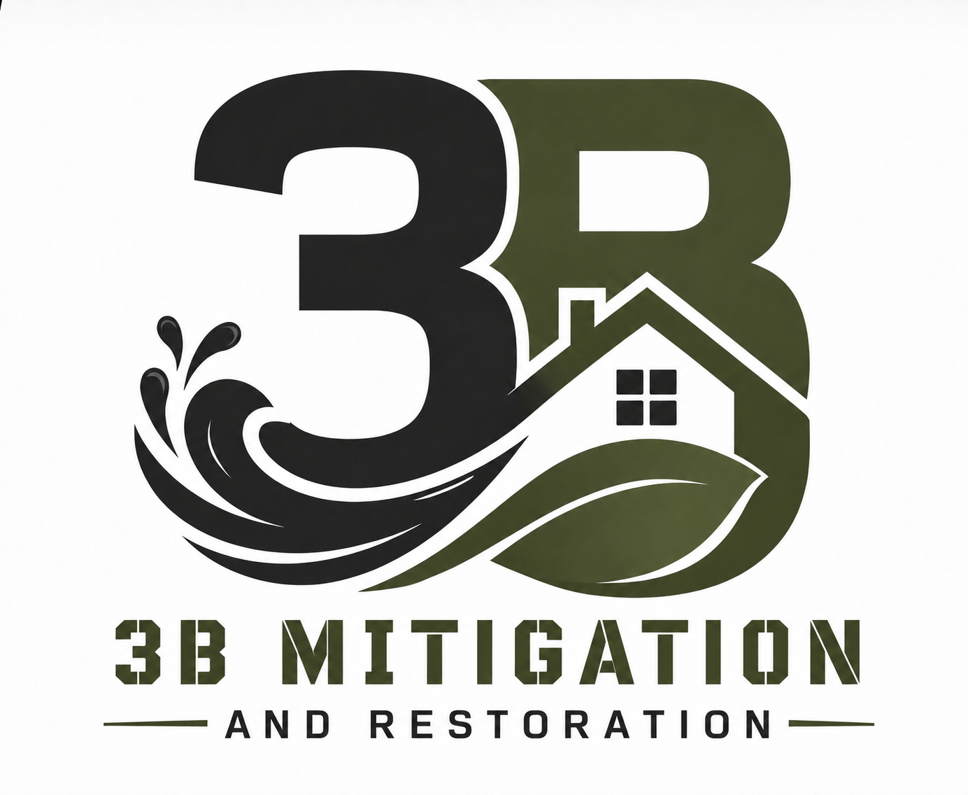 3B Restoration and Mitigation