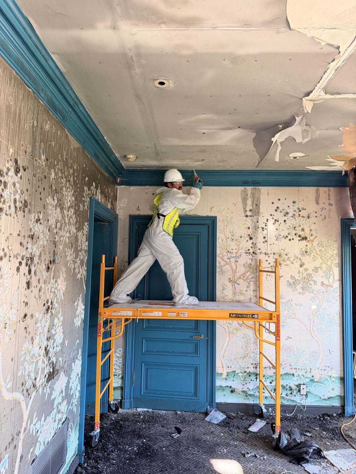 Mold remediation and containment